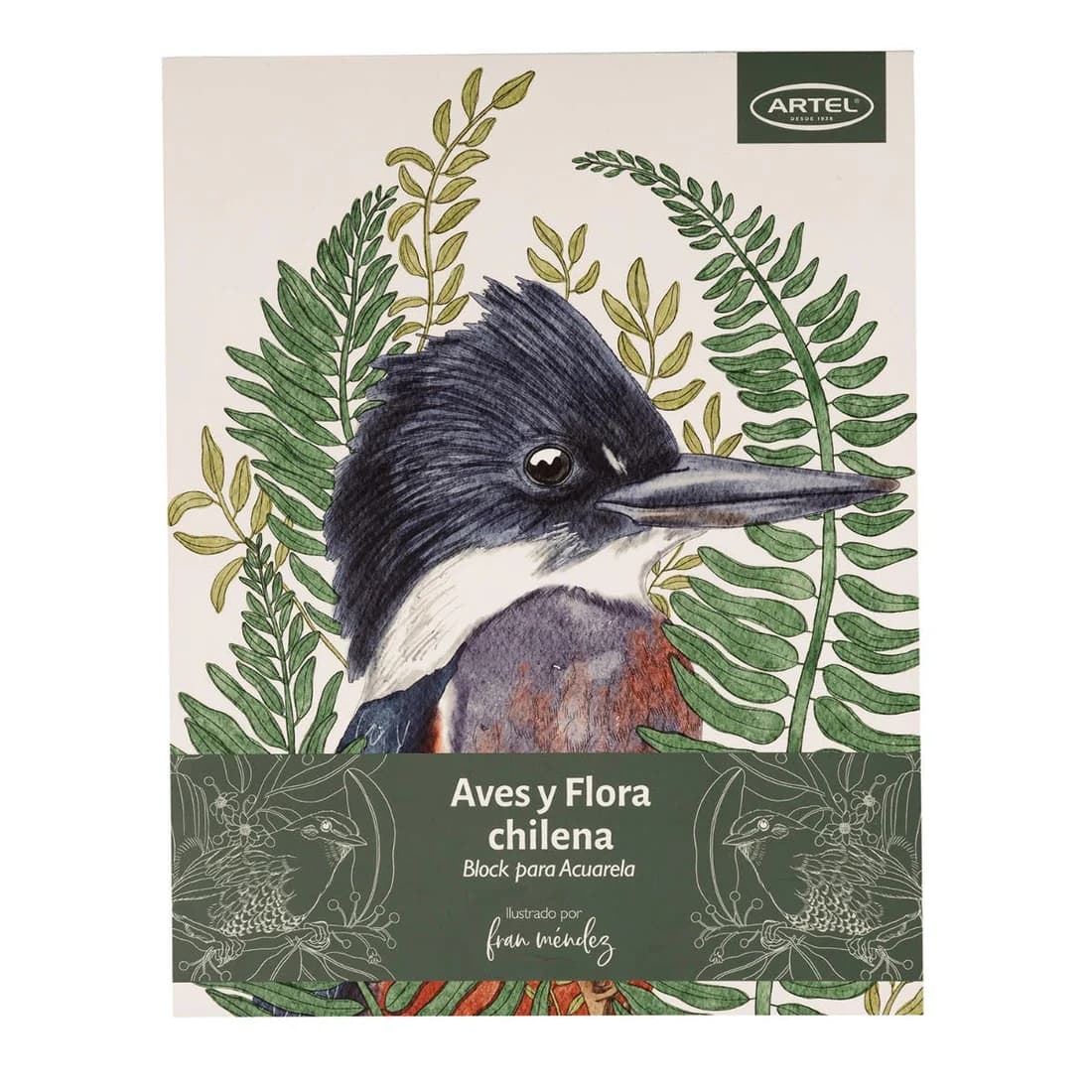 Block para colorear Aves y Flora de Chile